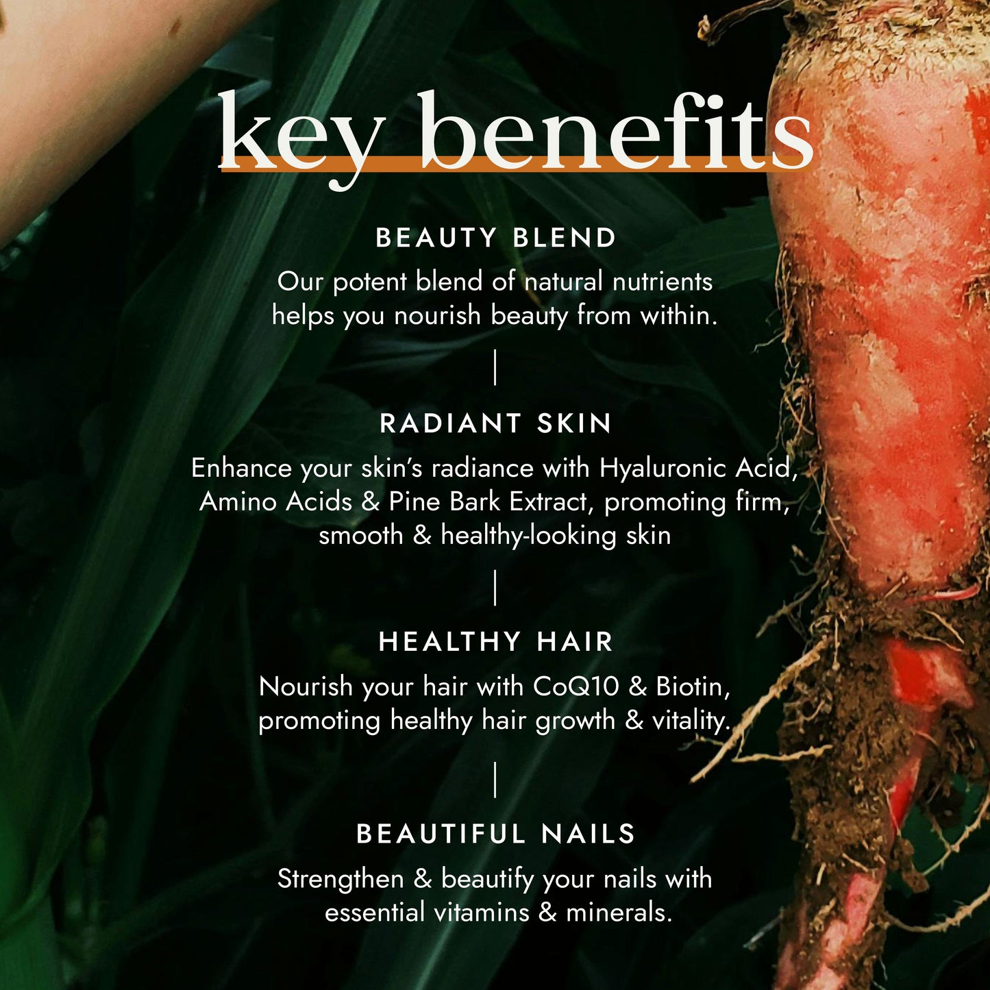 Beauty Totale