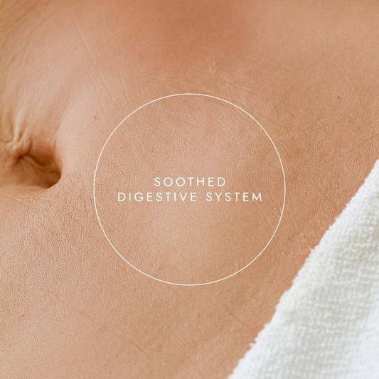 Gut Detox Bundle