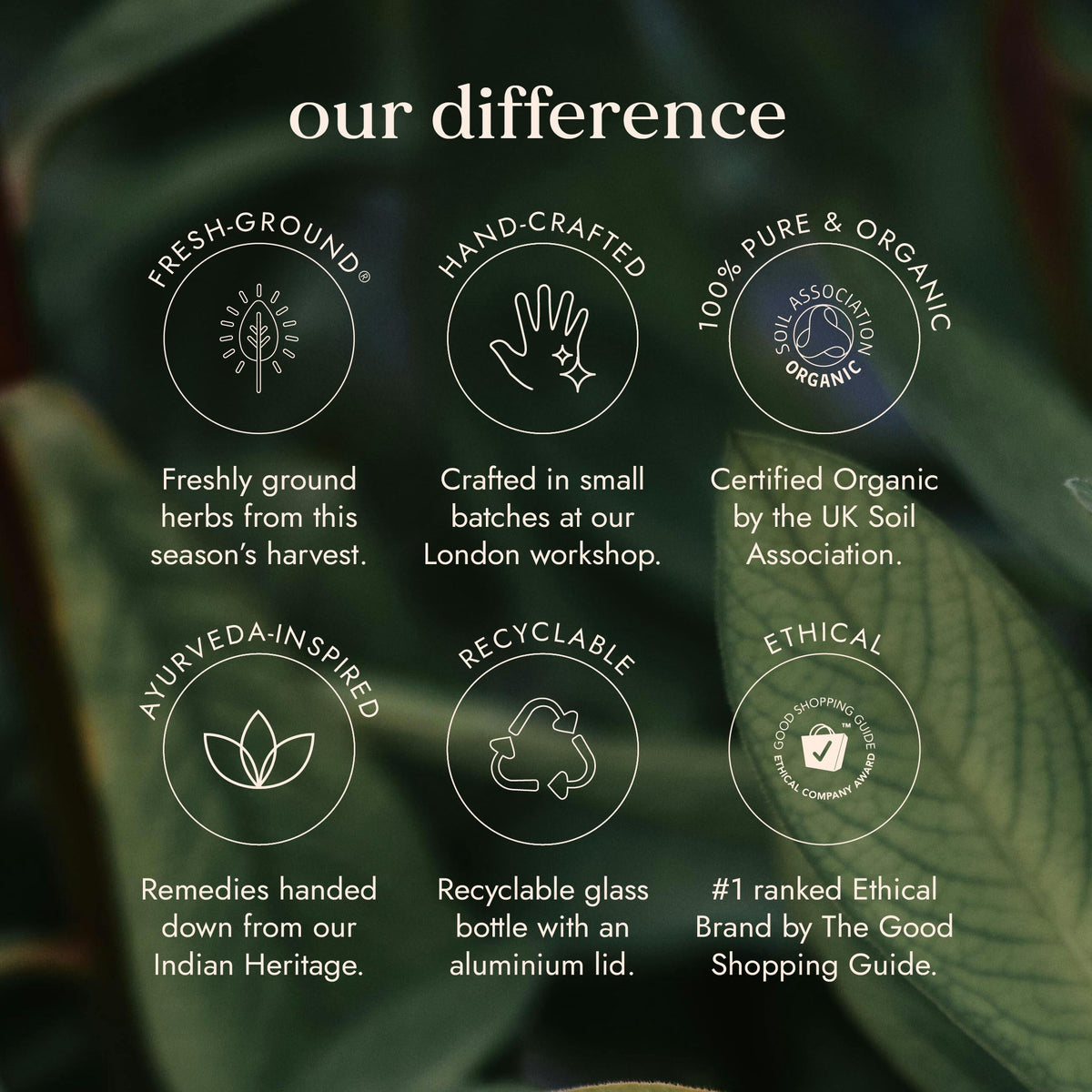 Organic Neem Leaf