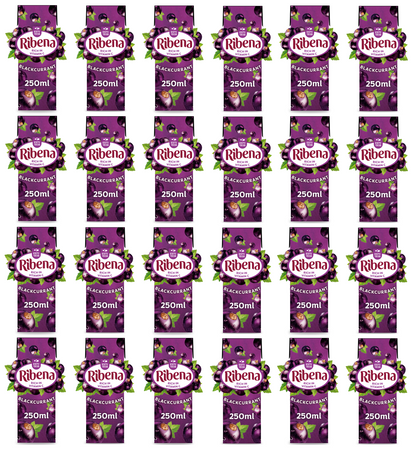 24 x Ribena Blackcurrant Carton 250Ml