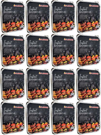 16 x Flamers Instant Barbeque