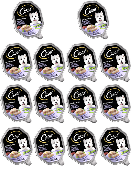 14 x Cesar Garden Terrine Turkey Lamb & Green Beans 150G