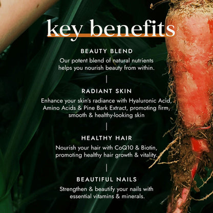 Beauty Totale